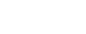 Fortis Protection Group Logo